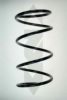 SPIDAN 56342 Coil Spring